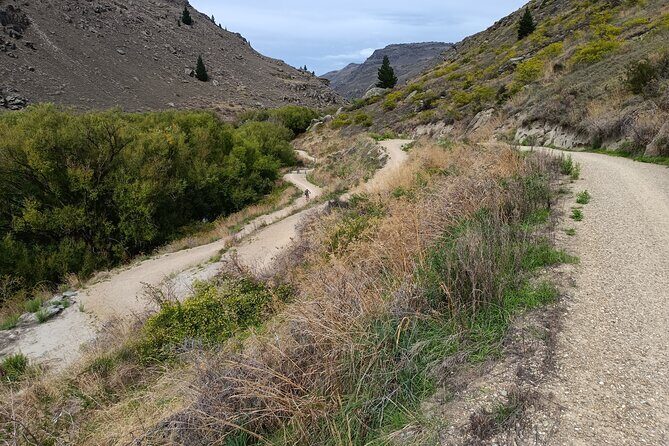 Roxburgh Gorge Bike Hire with Jet Boat & Return Shuttle Included - What Makes This Experience Special?