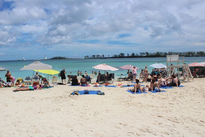 Rum Reggae and Rhythms Private Tour (minimum of 6 people) - A Closer Look at the Itinerary