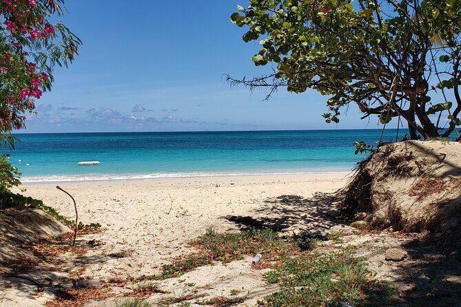 Salty Dogs UTV Adventure - FAQ