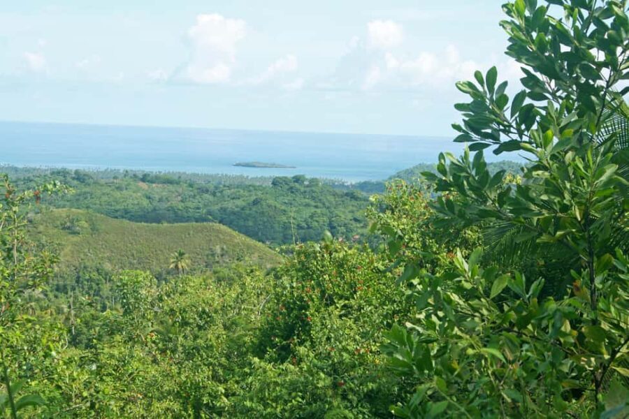 Samaná: El Limón Waterfall Horseback Riding Tour - The Value of This Tour