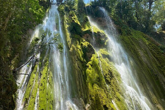 Samana from Punta Cana - Full Day - Transportation, Group Sizes, and Timing