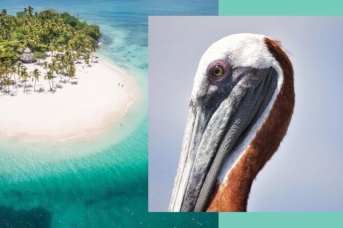 Samana Whale Watching + Cayo Levantado ( Bacardi Island) with Lunch by Locals - Why This Tour Offers Good Value