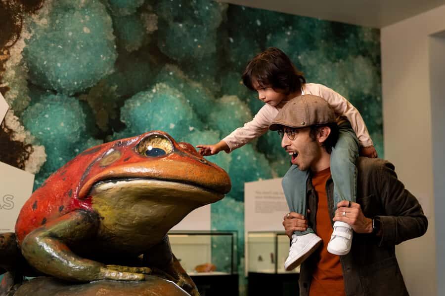 San Diego: San Diego Natural History Museum Ticket - Visitor Experience and Practical Tips