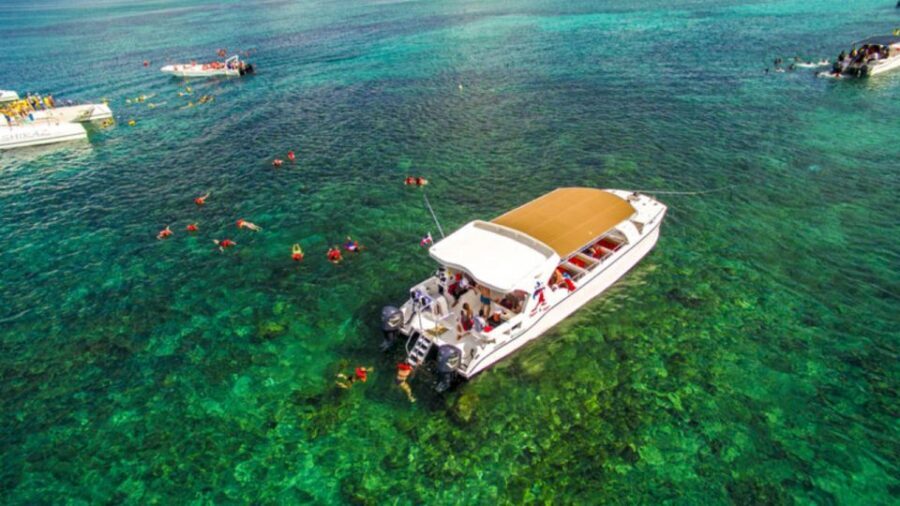 Saona Island All Inclusive Tour - The Value of the Tour: What You Get and What It Costs