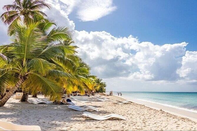 Saona Island Full-Day Tour with Lunch from Punta Cana - What Are Travelers Saying?
