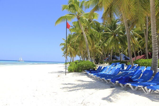 Saona Island Private Boat Tour with Lunch and Beverages - Arriving at Saona Island: The Highlight of the Day