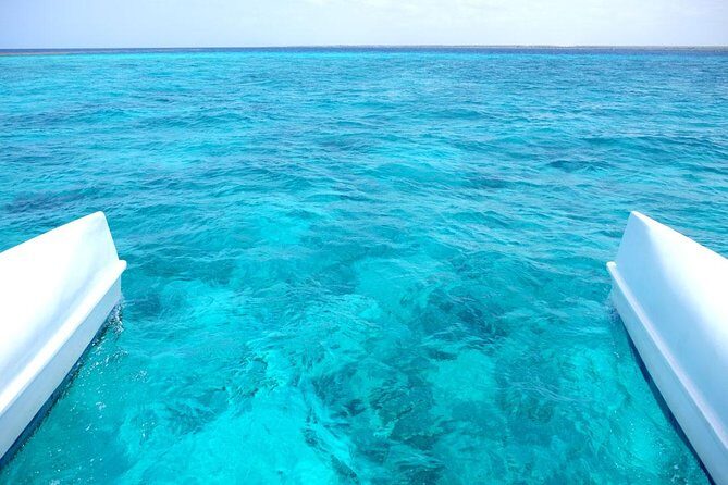 Saona Island Tour From Punta Cana - Analyzing the Value