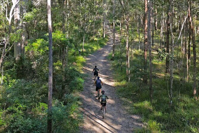 Scenic eBike of the Noosa Biosphere Trail Network - The Bikes: Comfort and Capability