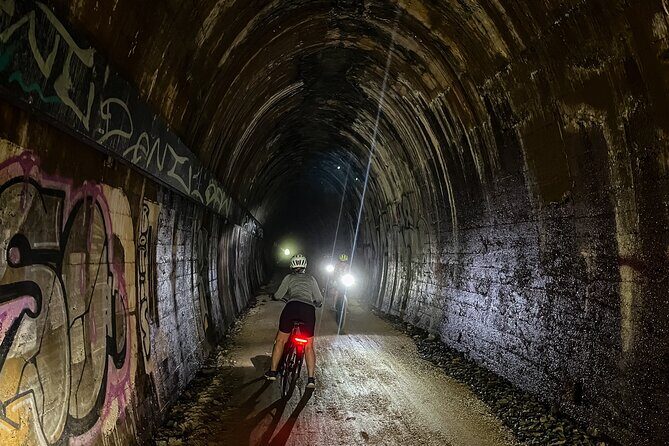 Self Guide E Bike Tour - Husk Distillery, Rainforest & Rail Trail - The Sum Up