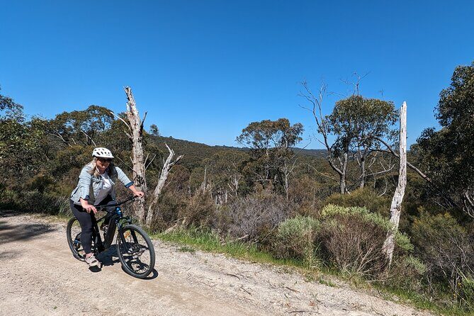 Self Guided Ebike Winery Tour in the Adelaide Hills - Who Will Appreciate This Tour?