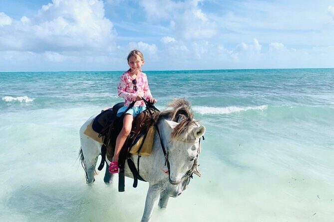 Shared Horseback Riding in Turks and Caicos - Who Is This Tour Best For?