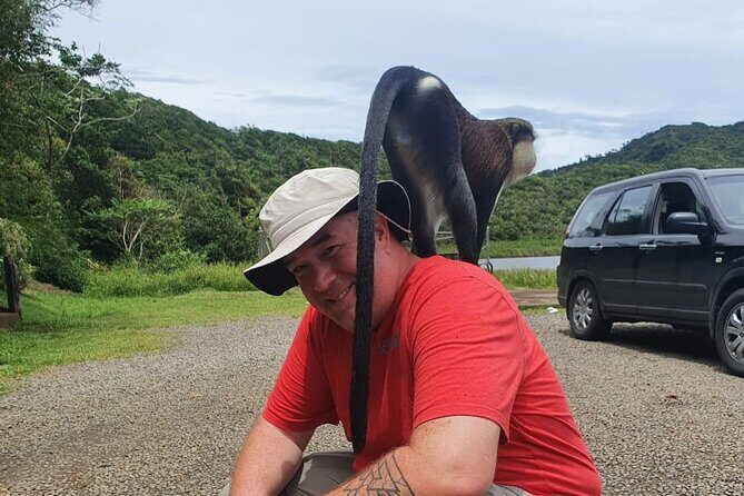 Shared Island Tour with Lunch & Admissions - The Value of This Tour