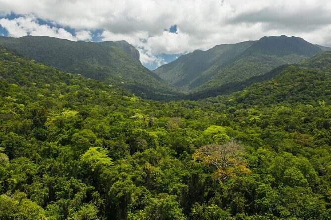 Small Group Daintree Rainforest and Aboriginal Coastal Adventure - What the Reviews Say: Authenticity and Quality