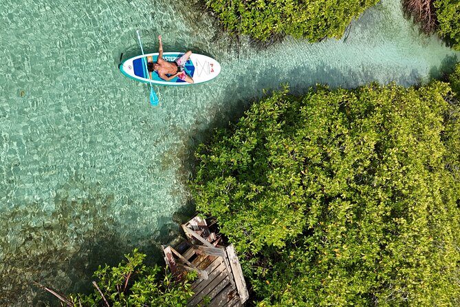 Snorkel Aruba's Vibrant Waters and Serene Mangroves Private Tour - The Itinerary in Detail