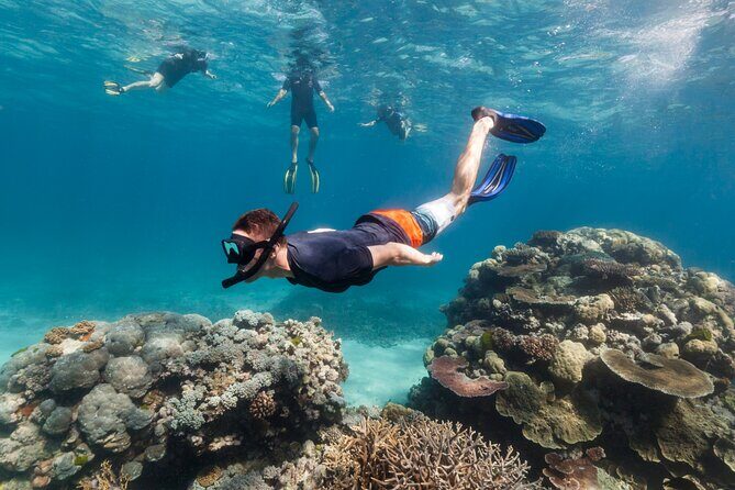 Snorkeling activity with Boat ride from Montego Bay - The Boat Ride: Scenery and Excitement