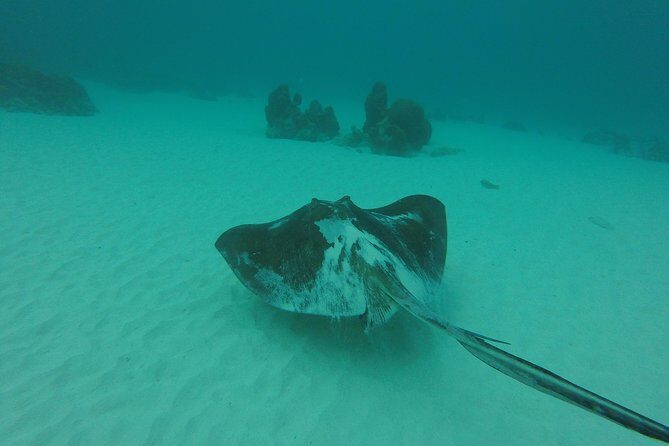 Snorkeling Tour (with Light Refreshments) - The Itinerary: A Closer Look