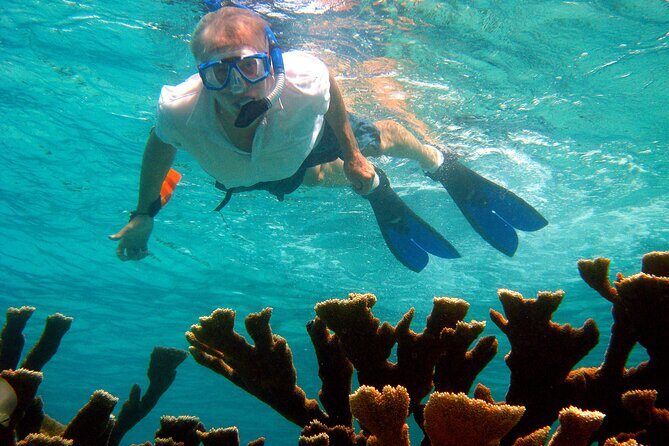 South island tour and Snorkel combo - Final Thoughts: Who Will Love This Tour?