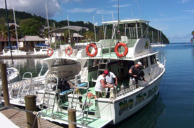St Lucia Beginner Scuba Diving Tour - What the Tour Offers: A Step-by-Step Look