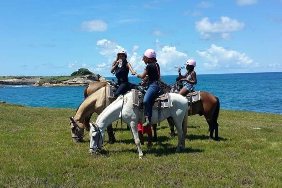 St. Lucia: Horseback Riding Adventure - Practical Considerations