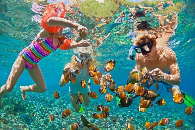 St.Maarten Nature, Hike & Snorkeling - Snorkeling in Tropical Waters