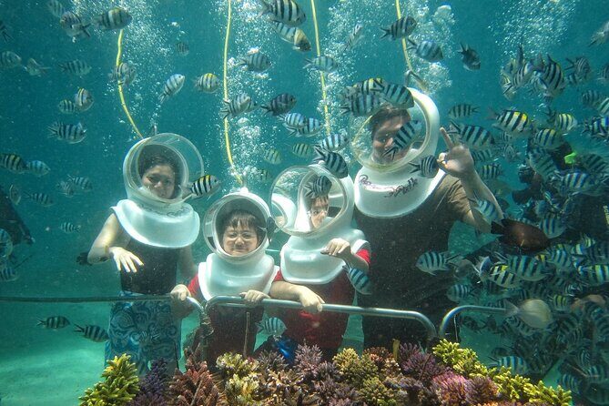 St Maarten SeaTrek and Snorkeling Adventure - The Itinerary Breakdown: What You Can Expect