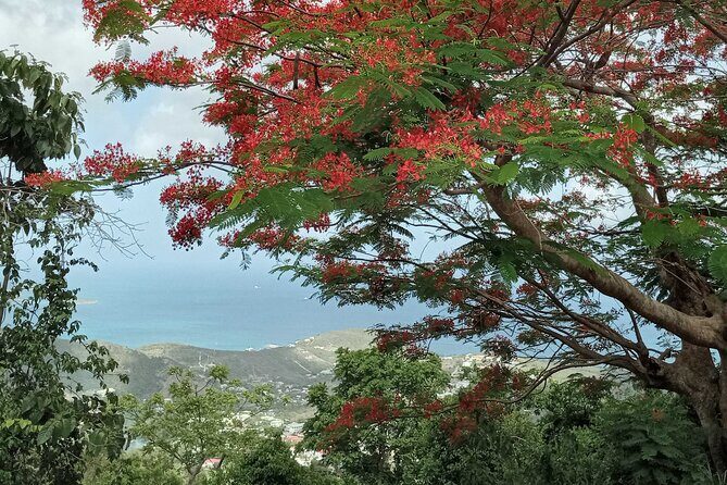 St.Martin - St. Maarten: Small Group, Coastal Hike & Swim Tour - Practical Tips & Considerations