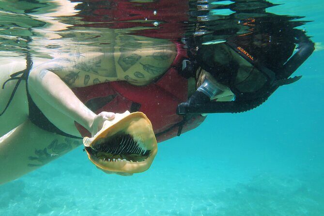 St Thomas Kayak and Sea Turtle Snorkel Excursion - The Experience in Detail