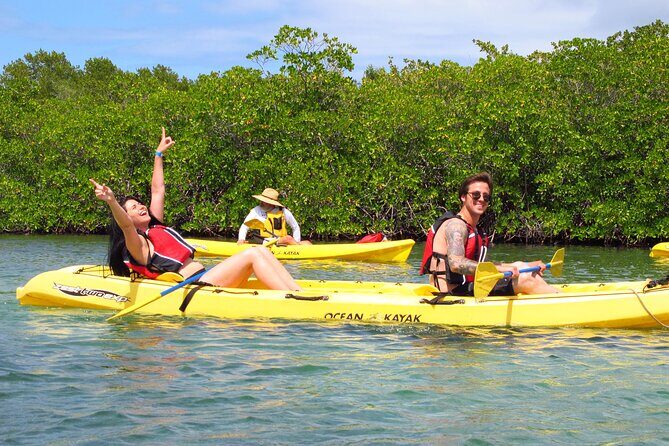 St Thomas Mangrove Lagoon Kayak and Snorkel Tour in the US Virgin Islands - Who Will Love This Tour?