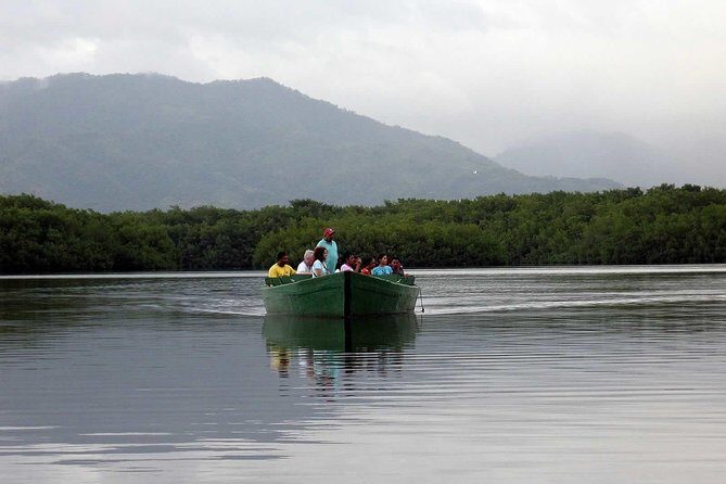 Sunset Boat Tour into Caroni Wetlands - The Experience for Photographers