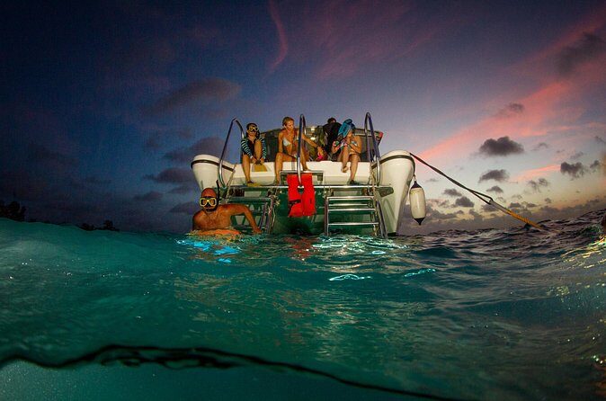 Sunset- night snorkel trip - The Practical Side: Logistics and Value