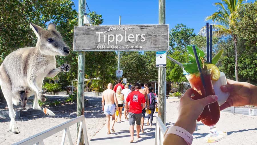 Surfers Paradise: 2 Hour Tropical Island Jet Ski Tour - What to Expect: An Honest Breakdown