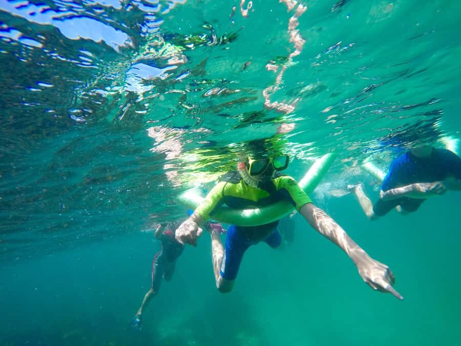 Sydney: Manly and Shelly Beach Snorkeling Tour - Detailed Breakdown of the Itinerary