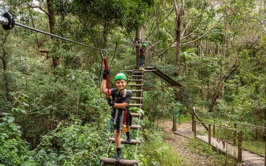 Tamborine Mountain: TreeTop Challenge Adventure Park - Who Will Love This Experience?