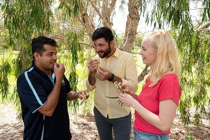 Taribelang Bunda Cultural Tours - The Sum Up