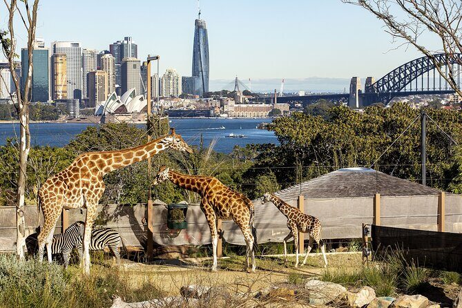 Taronga Zoo + Ferry Return Ticket - Who Is This Tour Best For?