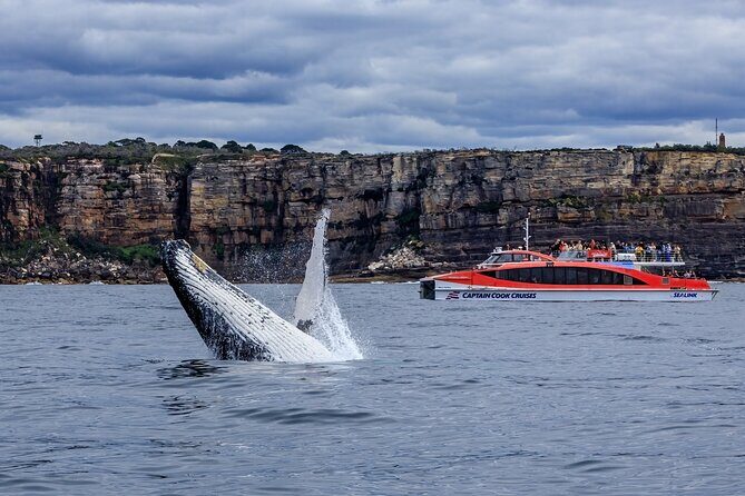Taronga Zoo & Whale Watching Cruise Combo - Sydney Harbour - Why This Tour is Worth Considering