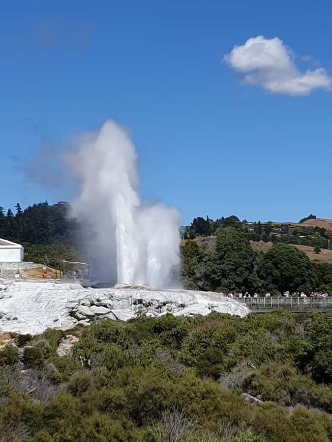 Tauranga: Rotorua Redwoods Tour & Maori Village Experience - Why This Tour Works
