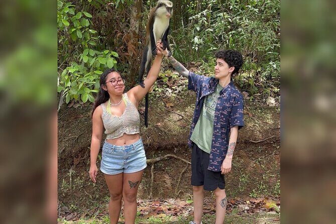 Taxi & Tours in Grenada , Chocolate factory, & more. - Who Is This Tour Best For?