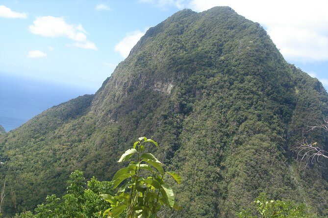 The Best of Saint Lucia Tour - Considerations and Potential Drawbacks