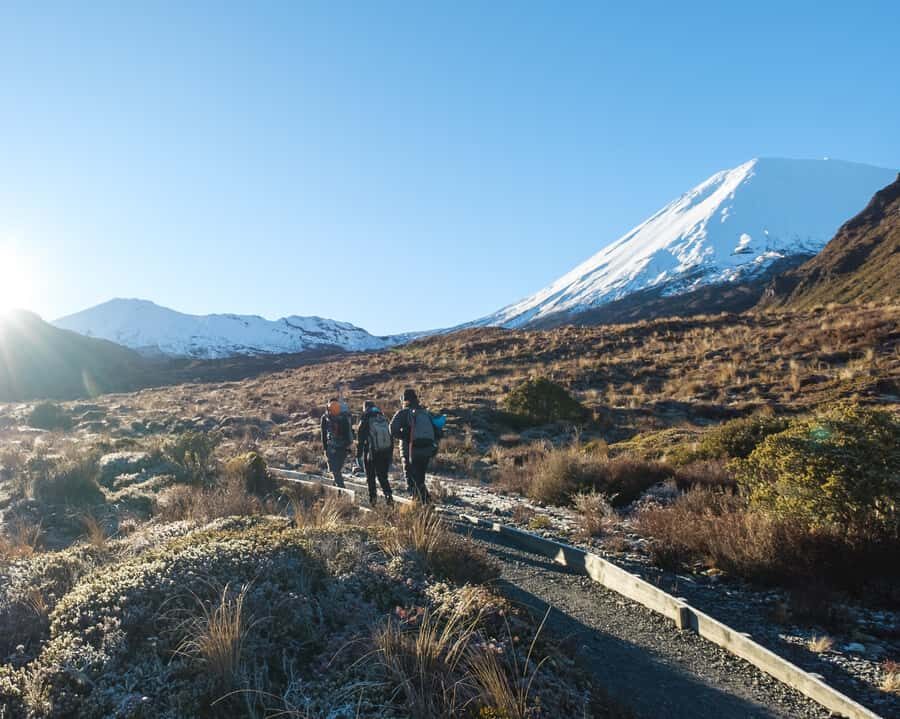 Tongariro Alpine Half Day Guided Group Walk - Why This Tour Works For Travelers