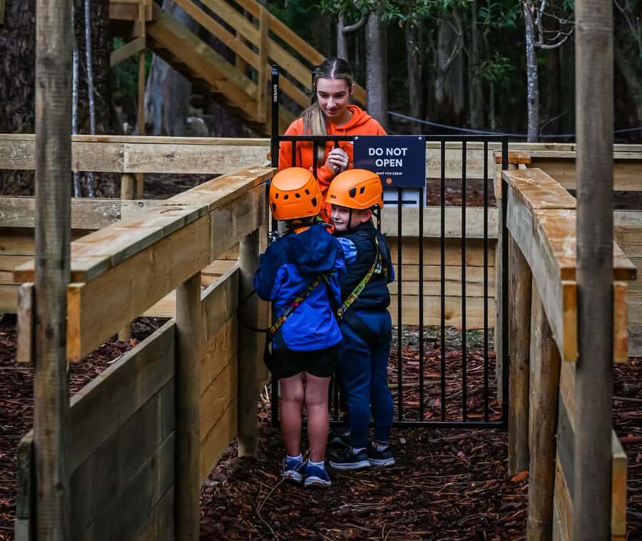 TreeClimb Kuitpo Forest: Treetop Fun For Little Adventurers - The Practicalities