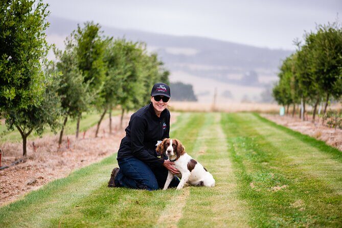 Truffle Hunt and Taste Experience in Oberon, NSW Australia - Is This Tour Worth the Price?