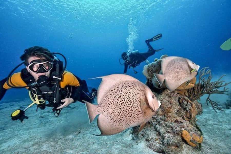 Try Scuba Diving in Playa del CarmenDive Machine Experience - The Itinerary Breakdown: What to Expect