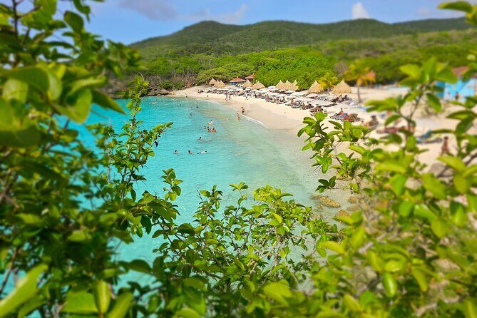 Turtle Swim at TurtleBay visit Flamingos & KnipBeach Safari Truck - What to Expect on the Tour