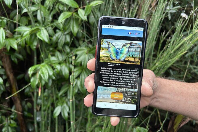 Visit Fort-DE-France with a fun and original track game! - Detailed Breakdown of the Tour