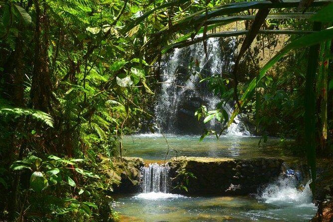 Waterfalls and Nature Tour - Introduction: What This Tour Offers