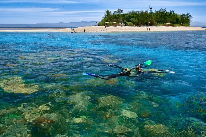 Wavedancer Low Isles Great Barrier Reef Sailing Cruise from Cairns - The Value of This Tour
