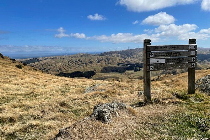 Wellington: Wild Skyline Guided Hiking Tour, Transfers + Lunch - The Value of a Local Guide