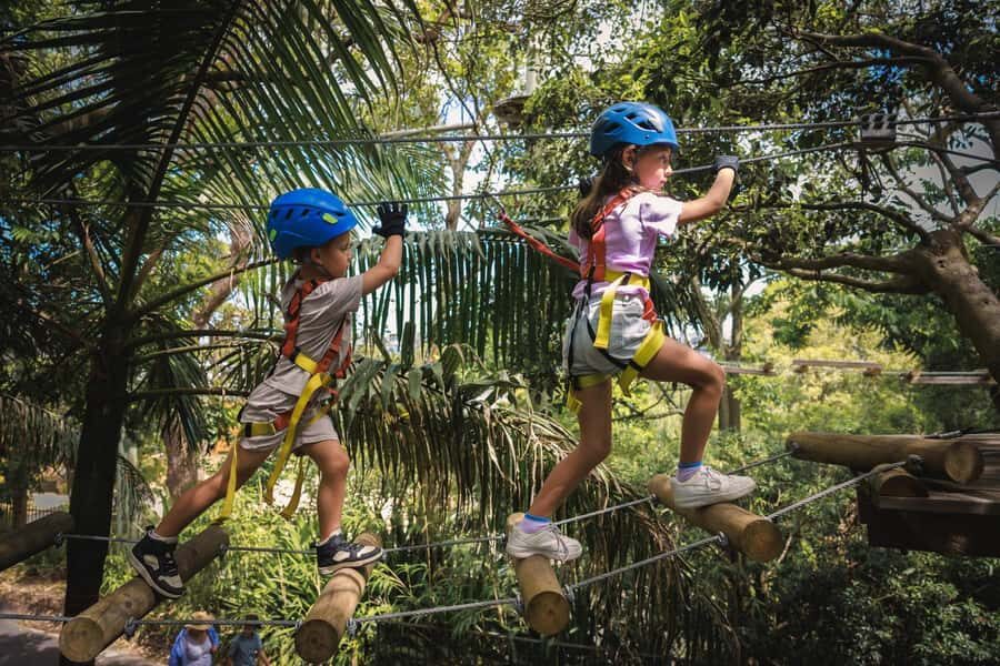 Western Sydney: Junior Tree Ropes Courses - A Deep Dive into the Experience