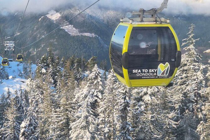 Whistler Sea 2 Sky Gondola, Shannon Falls Small Group Max 12 Tour - What Travelers Say